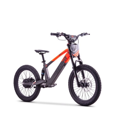 Draisienne électrique Sedna sx 20 Draisienne électrique Sedna sx 20